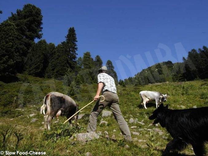 Bra: a Cheese 2019 si immagina il futuro del cibo