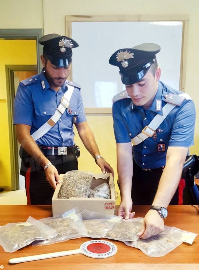 Nel seminterrato c’era una stanza segreta per coltivare marijuana 2