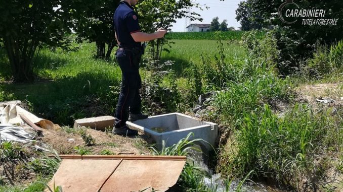 Controlli dei Carabinieri Forestali sulle captazioni idriche: rilevate 14 infrazioni