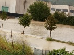 Allagamenti in piana Gallo, a La Morra, Barolo e Castiglione Falletto grandina sui grappoli d