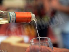 La fotogallery della Festa del vino di Go wine 2