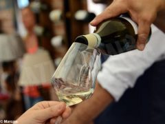 La fotogallery della Festa del vino di Go wine 6