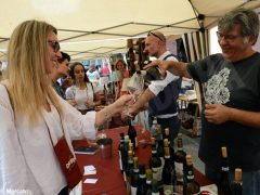 La fotogallery della Festa del vino di Go wine 7