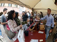 La fotogallery della Festa del vino di Go wine 11