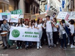 Lettera aperta del consigliere regionale Marello ai giovani del Fridays for future