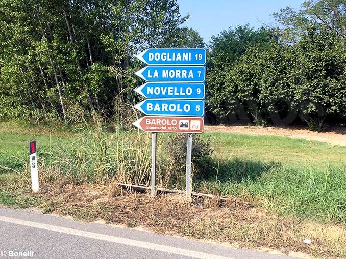 Diserbo chimico: ingiallisce le erbacce, uccidendo la vita