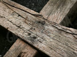 I fedeli braidesi celebrano la festa dell'esaltazione della Santa croce