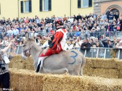 Palio 2019: la fotogallery della corsa 3