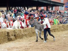 Palio 2019: la fotogallery della corsa 4
