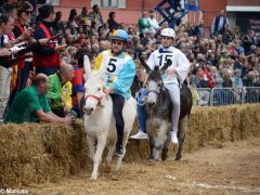 Palio 2019: la fotogallery della corsa 5