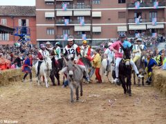 Palio 2019: la fotogallery della corsa 6