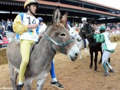 Palio 2019: la fotogallery della corsa 8