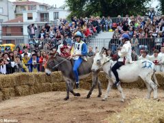 Palio 2019: la fotogallery della corsa 9