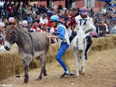 Palio 2019: la fotogallery della corsa 10