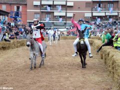 Palio 2019: la fotogallery della corsa 13