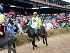 Palio 2019: la fotogallery della corsa 14