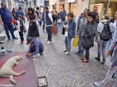 Fotogallery: una domenica di Fiera del tartufo 4