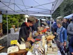 Fotogallery: una domenica di Fiera del tartufo 13