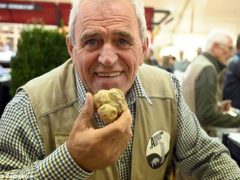 Fotogallery: una domenica di Fiera del tartufo 23