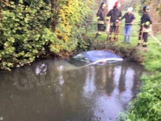 Bozza automatica 301