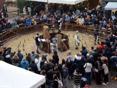 Baccanale dei borghi, la galleria fotografica 8