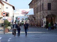 La chiocciola protagonista dalla cucina alla cosmetica a Cherasco 3