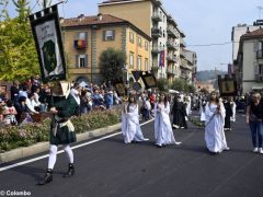 Palio degli asini 2019: la fotogallery della sfilata 10