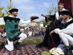 Palio degli asini 2019: la fotogallery della sfilata 13