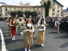 Palio degli asini 2019: la fotogallery della sfilata 22