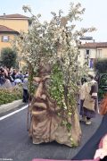 Palio degli asini 2019: la fotogallery della sfilata 34