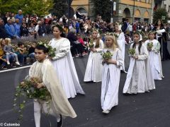 Palio degli asini 2019: la fotogallery della sfilata 36