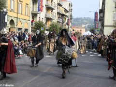 Palio degli asini 2019: la fotogallery della sfilata 38