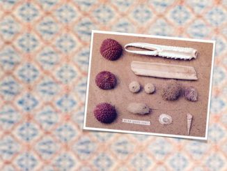 Ritornano i week end al Teatro del poi di Bra