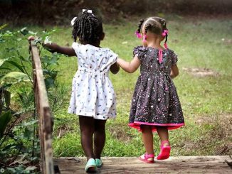 Quattro bambini su mille devono lasciare i genitori 1