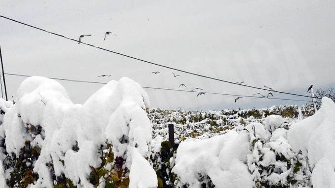 Lunghi black-out per la neve a Monticello e Sommariva Perno