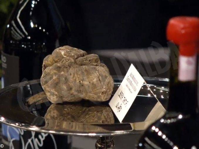 È giunta l'ora della XX Asta mondiale del tartufo bianco d'Alba 1