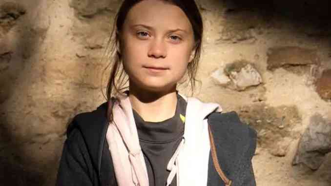 Greta Thunberg venerdì sarà a Torino in piazza Castello