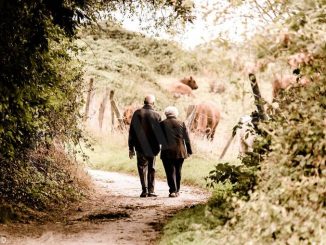 Tra venti anni, nel 2038, un terzo dei piemontesi avrà più di 65 anni