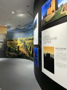 Colline del vino protagoniste in Cina 3