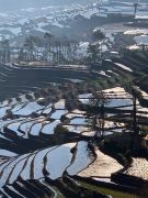 Colline del vino protagoniste in Cina 5