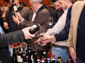 Presentata a Milano la nuova edizione della guida Go wine Cantine d'Italia 2020 1