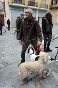 Il raduno nazionale dei trifolao chiude la stagione del bianco d’Alba 6