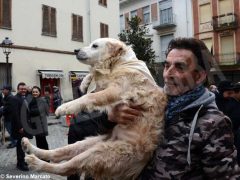 Il raduno nazionale dei trifolao chiude la stagione del bianco d’Alba 9