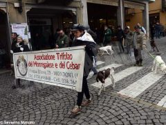 Il raduno nazionale dei trifolao chiude la stagione del bianco d’Alba 24