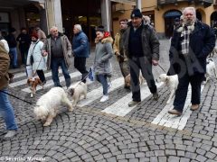 Il raduno nazionale dei trifolao chiude la stagione del bianco d’Alba 25