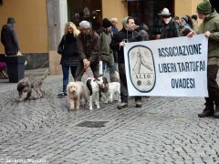 Il raduno nazionale dei trifolao chiude la stagione del bianco d’Alba 26