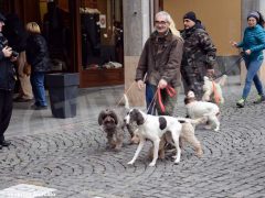 Il raduno nazionale dei trifolao chiude la stagione del bianco d’Alba 27