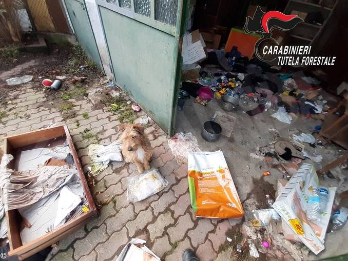 L’attività dei Carabinieri forestali: denunce per roghi di rifiuti e abbandono di animale