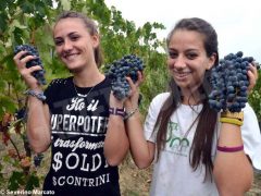 Istituto Umberto I: un tuffo nel settore agricolo, tra tradizione e innovazione 7