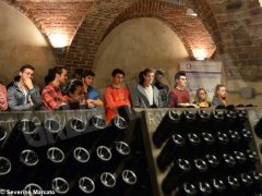 Istituto Umberto I: un tuffo nel settore agricolo, tra tradizione e innovazione 10